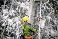 电网企业积极应对今冬首轮强降雪
