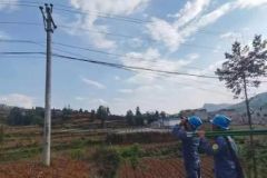 南方电网云南曲靖富源供电局贴心服务 为鲜花种植基地保驾护航