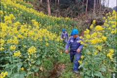 南网云南曲靖富源供电局积极应对高温天气 开展防山火特巡保电网安全