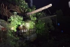 南方电网云南曲靖富源供电局：配电自动化助力供电可靠性提升