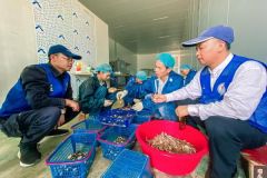 党旗所指 使命所向——记南方电网公司脱贫攻坚先进个人蒙浩