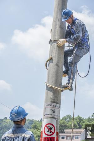 7、2021年7月26日，广西梧州市藤县古亮塘村，南网广西新电力藤县供电公司员工在进行线路检修维护。（何华文）